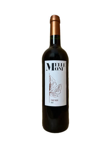 Buisson - Pinot Noir 2022 - Vin Rouge - 75cl - 🍷
