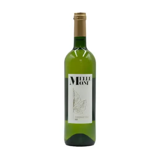 [BUICHO22BO0075] Buisson - Chardonnay Orbais 2022 - Vin Blanc - 75cl - 🍷