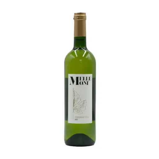 [BUICHO22BO0075] Buisson - Chardonnay Orbais 2022