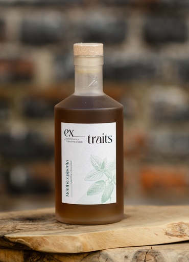 Ex_Traits - Menthe Chocolat - 25%