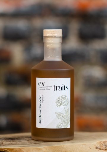 Ex_Traits - Angélique - 25%