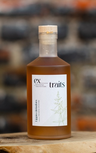 Ex_Traits - Verveine Citron - 25%  