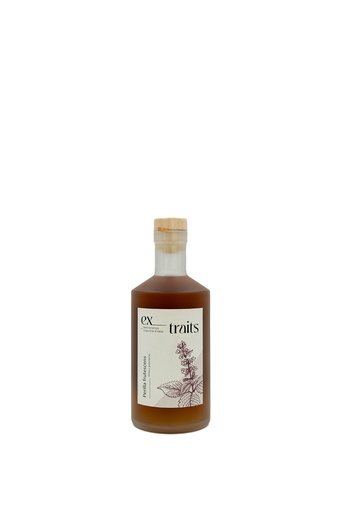 Ex_Traits - Shiso Pourpre - 25%   