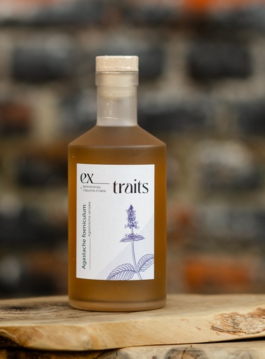 Ex_Traits - Agastache - 25%